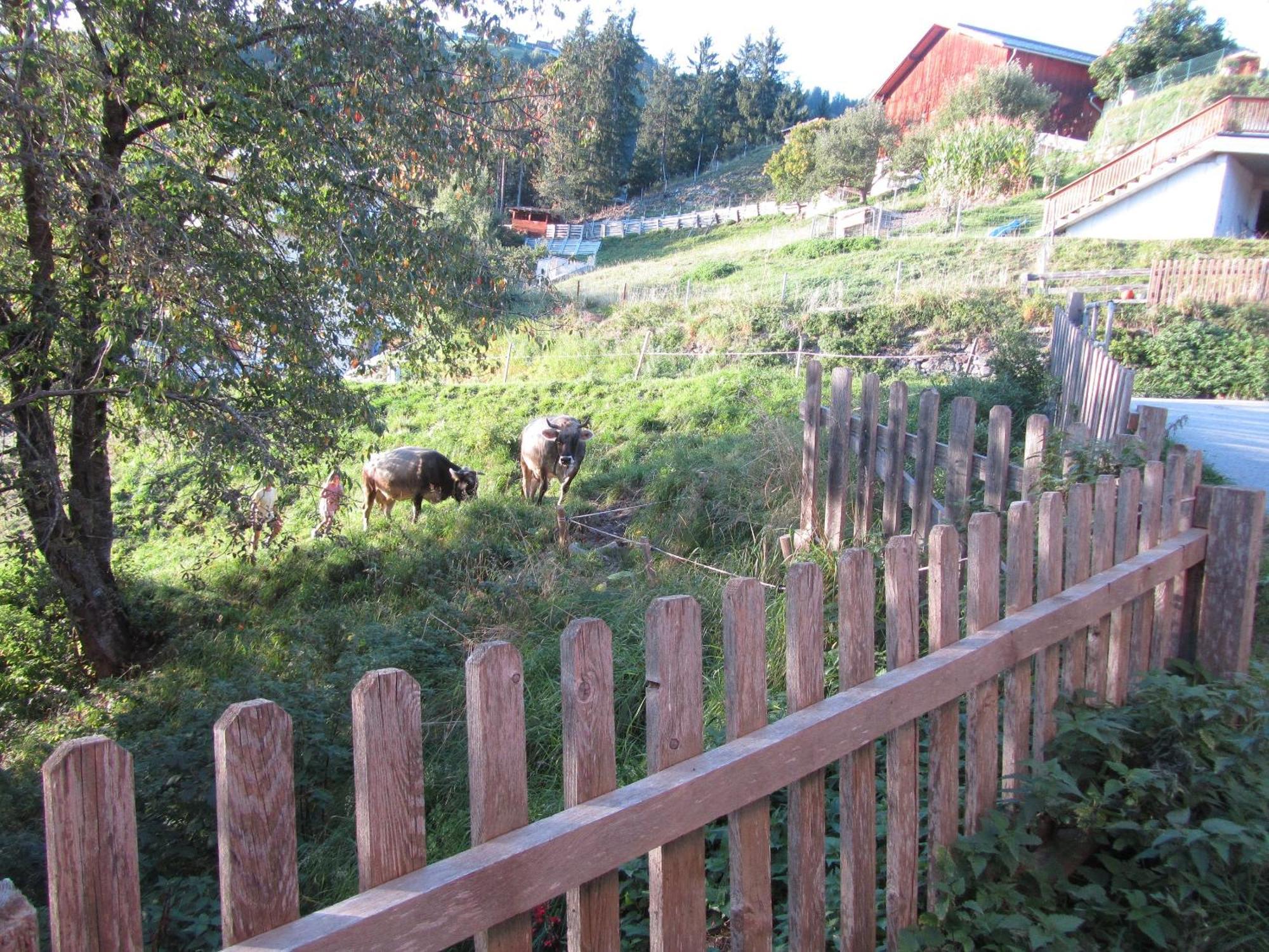 Ferienwohnung Haus Lentsch Kaunerberg Exterior foto